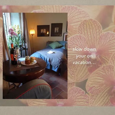 David's Place 2* Floransa