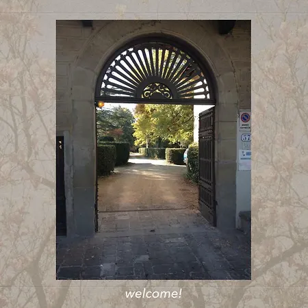 Bed & Breakfast David's Place Florence